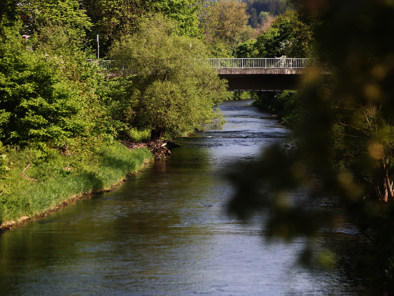 Abgebildet wird der Neckar.