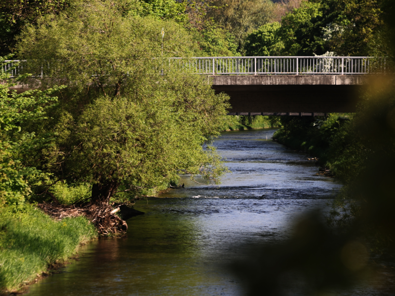 Abgebildet wird der Neckar.