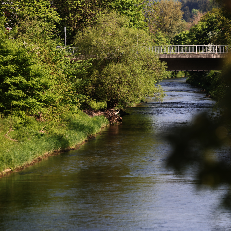 Abgebildet wird der Neckar.
