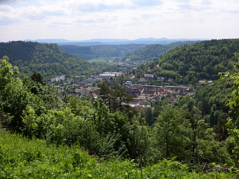 Abgebildet wird die Stadtansicht Oberndorf am Neckar vom Aussichtspunkt: Kapelle Lindenhof.