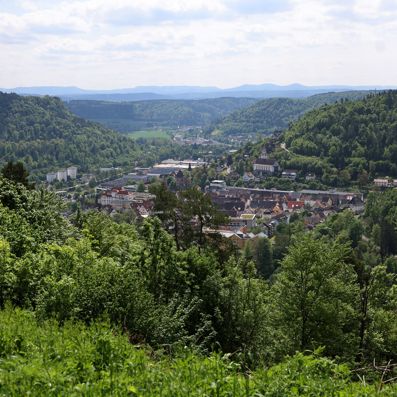 Abgebildet wird die Stadtansicht Oberndorf am Neckar vom Aussichtspunkt: Kapelle Lindenhof.