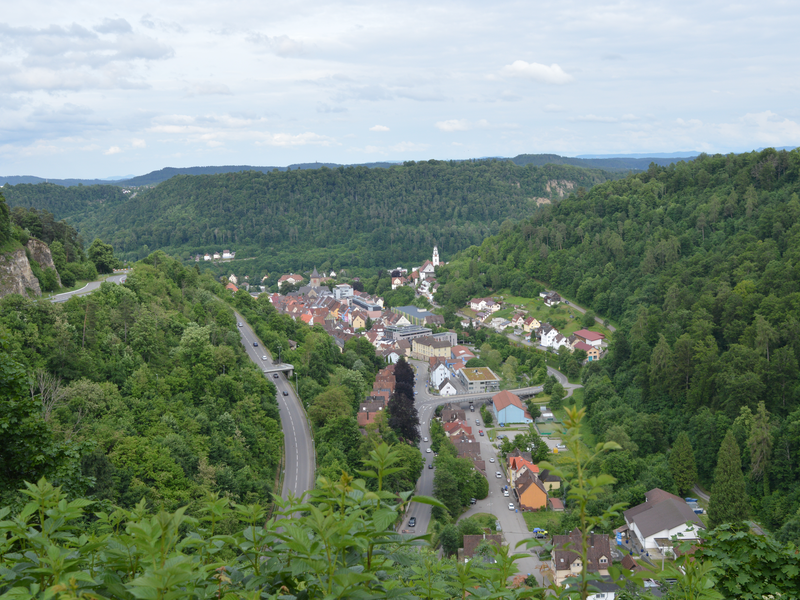 Aussicht auf die Oberndorfer Oberstadt mit Verlauf der Landstraße auf den Lindenhof. Ringsherum sind bewaldete Hügel.