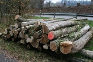 Brennholzverkauf