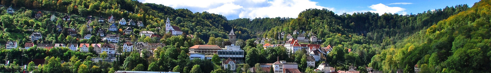Stadtansicht von Oberndorf
