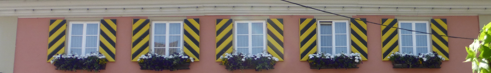 Rathaus-Fenster